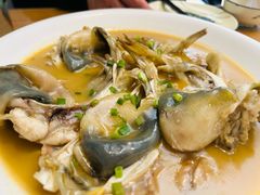 -9号小厨师(端平桥店)
