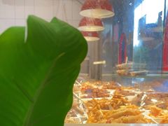 -爱家面馆(常州总店)