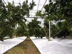 -前小桔亲子创意农场·草莓采摘·露营烧烤