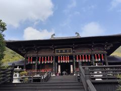 -大唐贡茶院