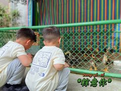 -成都安仁福朋喜来登酒店