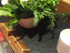 -陈府大宅门成都火锅·手切鲜肉(太原街店)