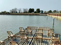-西京湾花海