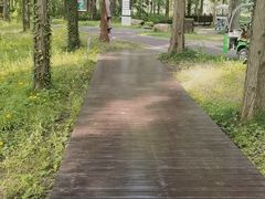 -黄海国家森林公园