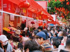 -越秀西湖花市(广州城市广场花卉店)