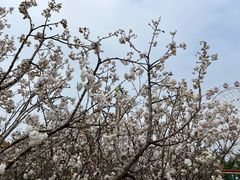 -观澜湖生态运动公社