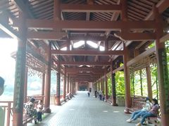 -重庆彩云湖湿地公园
