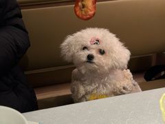 -桂满陇·海市蜃楼·黑金(国金店)