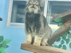 -青藏高原野生动物园
