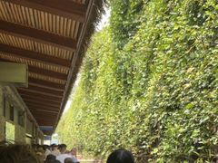 -天河潭旅游度假区