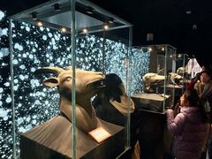 -北京世纪金源购物中心(远大路店)