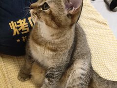 -瑞鹏宠物医院·超声·骨科·奇麟分院(蜀都万达店)