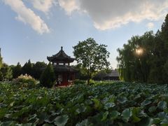 -莲池书院博物馆