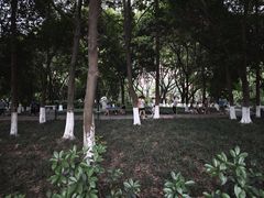 -沙河三洞古桥公园