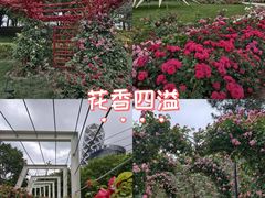 -大望京公园