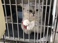-申普宠物医院·眼科·心内科·影像科(普陀分院)