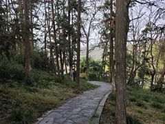 -宜兴龙背山森林公园