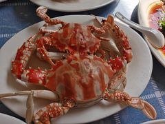 -湛江海鲜餐厅