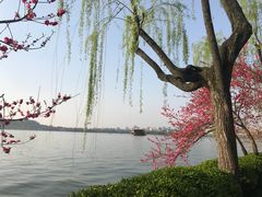 -COSTA COFFEE(西湖天地店)