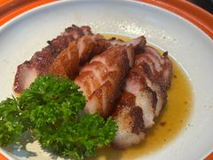 -阿皇仔烧鹅(麦地店)