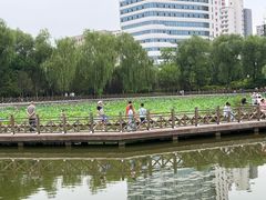 -迎泽公园