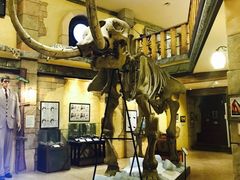 -信不信由你博物馆