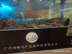 -渔洲情海鲜酒家