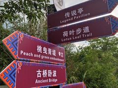 -靖西鹅泉风景区