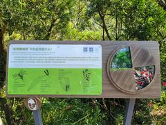 -梧桐山风景名胜区