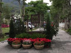 -瑞穗牧场