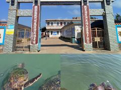 -硇洲岛旅游区