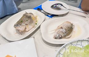 Salt and Oil Steamed Yellow-footed Fish