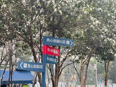 -钓鱼猫面(民心佳园店)