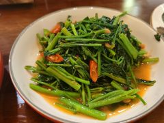 -荷花泰菜(东方新天地店)
