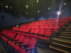 -万达影城(闵行颛桥万达广场杜比影院店)