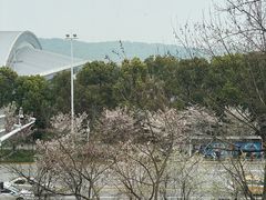 -湖锦酒楼·32年地道湖北菜(光谷店)
