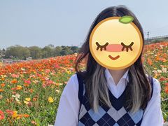 -秀丽东方