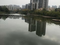 -金山公园
