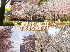 -堤角公园