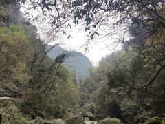 -碧峰峡风景区