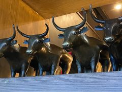 -云海肴·云南小炒·汽锅鸡(天津国金汇店)