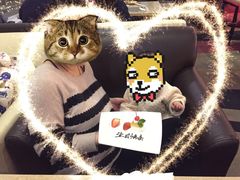 -亮马河饭店翠雅咖啡厅