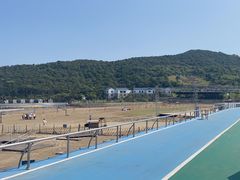 -东海半边山旅游度假区