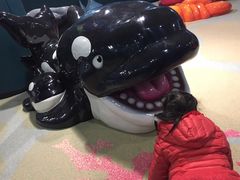 -青岛嘉年华主题乐园