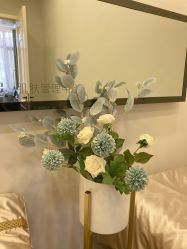 -缤卡妮肌肤管理中心