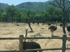 -西安秦岭野生动物园