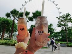 -蔻蔻椰·鲜萃椰子水(欢乐港湾店)