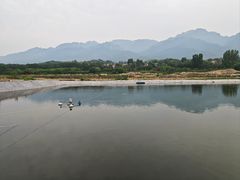-马楼鱼庄(蓝田)