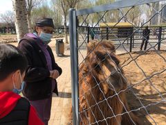 -长白岛森林公园