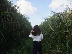 -东极岛景区-青浜岛